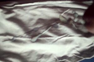 mtombaji haramu steals the forbidden cock