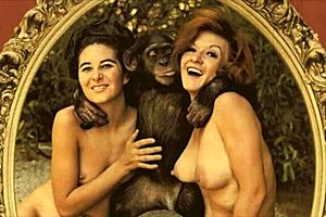 content is currently on hold