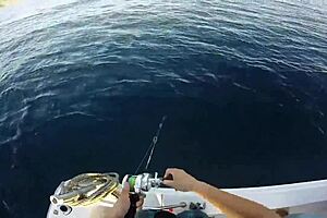 japanese guys enjoy a casual fishing outing 😊