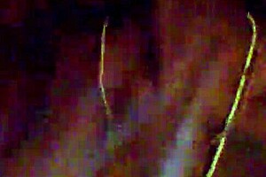 Tristina Millz Discusses New Porn Regulations And Public Opinions