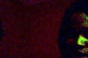 Tristina Millz Discusses New Porn Regulations And Public Opinions