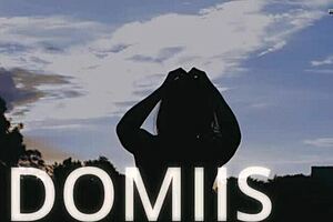 Busty Milf Sensual Lingerie Try On Haul Trailer