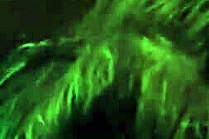 Homemade blowjob with big tits