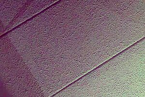 Mexican Wife's Hotel Adventure