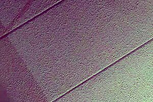 Mexican Wife's Hotel Adventure