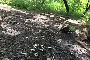 Outdoor sex takes amateur couple in POV video