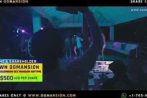 Mystical Cat's Group Encounter At Prime Party