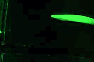 A little behind the curtain, a couple has juicy sex at home in the backyard