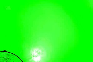 Quarantine hiding leaked video two