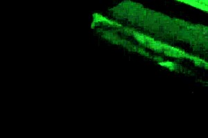 Officer With Wet Legs Engages In Intriguing Police Scenario