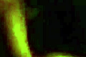 She says, Hot buns in the dark.