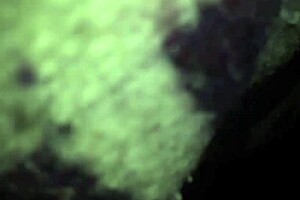 slowly building up to intense masturbation session