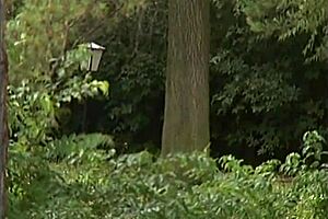 Blonde Admires His Impressive Size