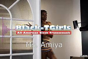 Black Tgirls Ms Amiyas Here To Please