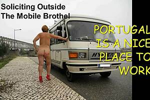 Suzi Works Public Holiday Job Outdoors