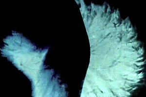 hey, remember those vintage christmas milfs getting hairy and wild in group lesbian action?