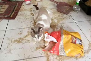 Sarah Rosa's Kitchen Voyeur Moments Stir Deep Emotions