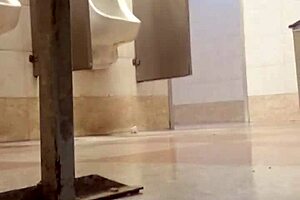 gay sex in the toilet stall