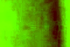 love getting my pussy ate