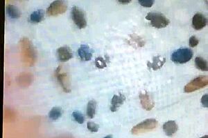 Exploring gay culture and lifestyle