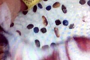 Exploring gay culture and lifestyle