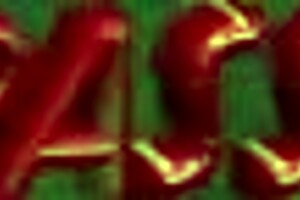 Presley Maddox Enjoys Fraternity Party Fun With Friends