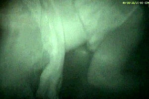 Girlfriend Enjoys Detailed Erotic Glory Hole Fun in Cabin with Friend.