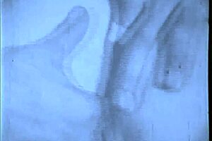 i remember the vintage blowjobs from the 1960s shadows