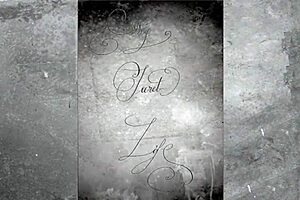 i remember the vintage blowjobs from the 1960s shadows