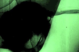 vintage glimpse dark lantern entertainment presents my secret life the 19th century diaries of an english gentleman