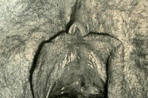 What's in those vintage closeups from my secret life?