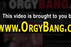 Intriguing European Babe in Stockings Orgy with Blowjob and Cumshot Action