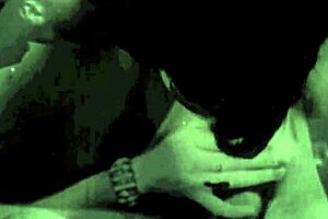 vintage glimpse dark lantern entertainment presents my secret life the 19th century diaries of an english gentleman