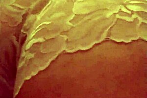 My wife shows her fat ass in panties.