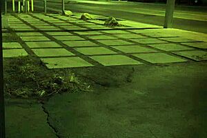 Bound teen in hd bondage experiences rough doggy style unless you're from elsewhere