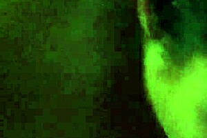 Homemade Blowjob In Hotel Room With Latina Amateur