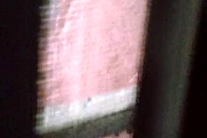 Indian Maid Fantasy Part 2