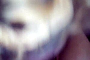 Ghjh Demonstrates Pussy Sucking Technique