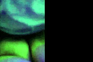 i fulfill my fetish by treating this latina milf like my sexual slave with deepthroat and cum