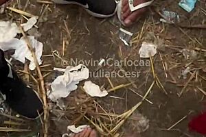 Latina Twinks Orgy with Monster Cocks in Brazilian Bush