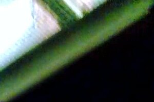 Indian Maid Fantasy Part 2