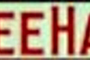 aletta ocean rides interracial cock doggystyle