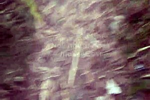 Latina Twinks Orgy with Monster Cocks in Brazilian Bush