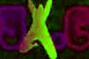 Backstage with silvia santez, mexican pornstar looking sexy 😍