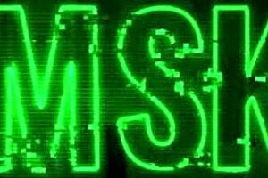 Sage Fox in Bikini Celebrates Labor Day