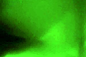 Amateur couple engages in doggy style in hotel room