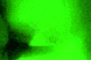 Amateur couple engages in doggy style in hotel room