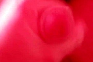 internet porno red penis wanking and cumming in high definition