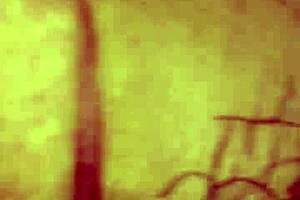 Watching Wife's Pussy Get Fucked Hard