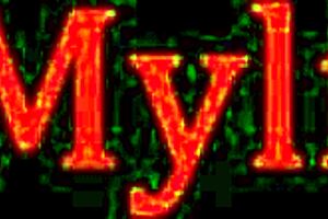 Blonde milf Britney Amber gives a blowjob before riding a young cock in a rugby fantasy.